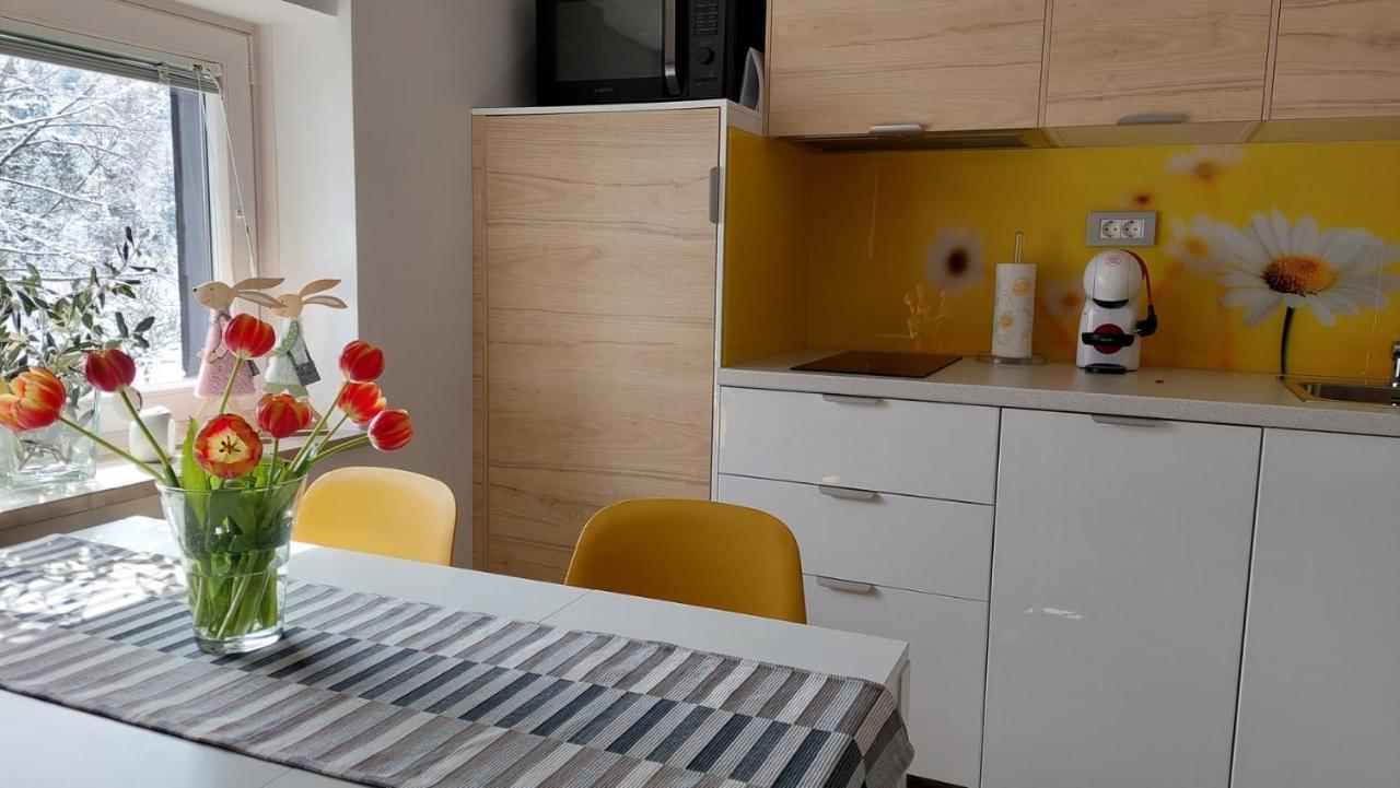 Apartma Marjetica Gozd Martuljek Extérieur photo